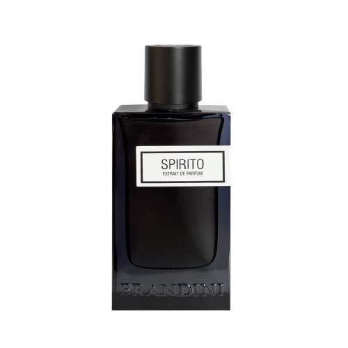 خرید ادکلن برندینی Spirito مردانه ۱۰۰ میل | رایحه خنک و تلخ با پخش بوی تهاجمی