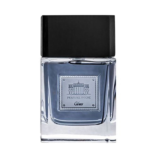 خرید ادکلن پرفیوم هاوس Citrus مردانه ۱۰۰ میل | انفجار خنکای مرکبات با ماندگاری فوق‌العاده