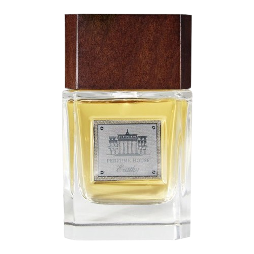 خرید ادکلن پرفیوم هاوس Arty مردانه ۱۰۰ میل | رایحه تلخ و چوبی با ماندگاری تهاجمی