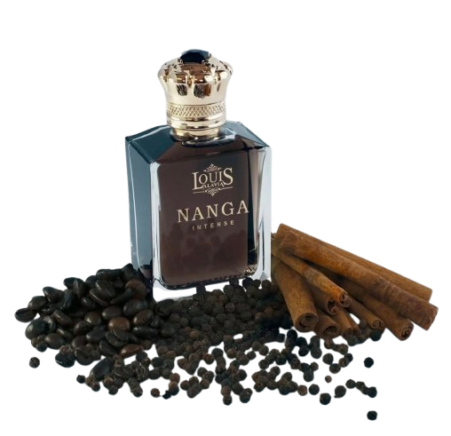 خرید عطر مردانه لویس آلاویا نانگا اینتنس حجم 100 میلی‌لیتر | ادوپرفیوم Nanga Intense با رایحه گرم، چرمی و عودی تهاجمی